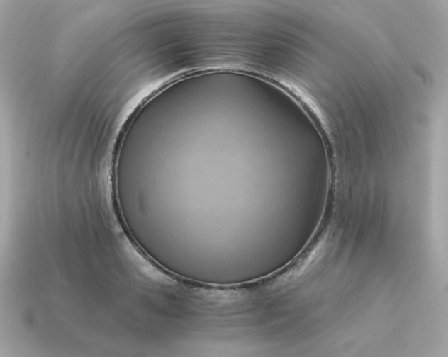 X0000115150941200911101726