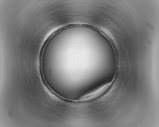 X0000115150942200911101726