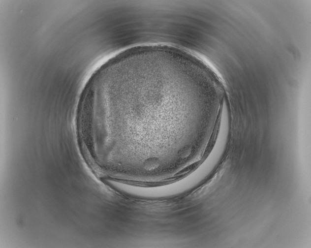 X0000115150943200911101726