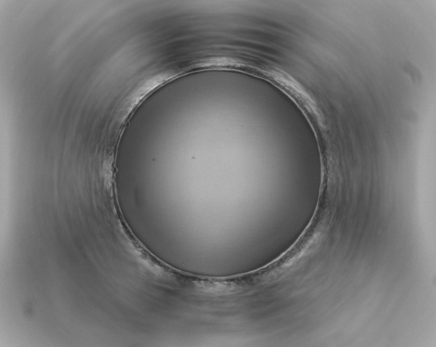X0000115150945200911101726