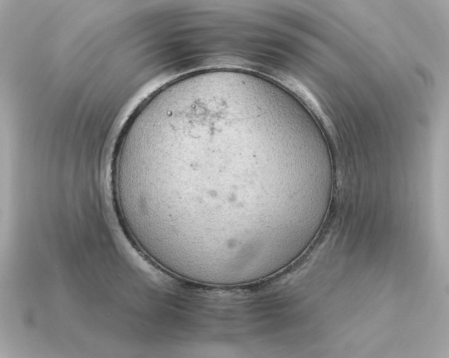 X0000115150947200911101726
