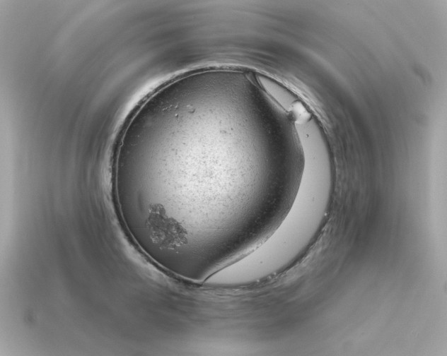 X0000115150950200911101726