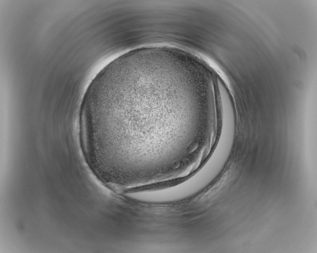 X0000115150951200911101726