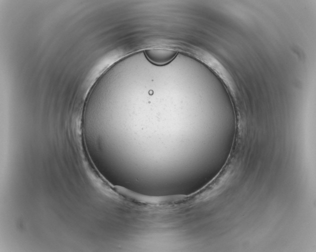 X0000115150954200911101726