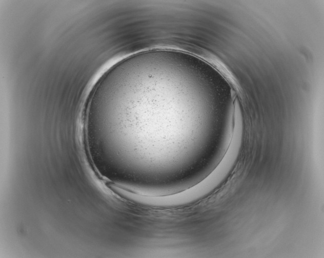 X0000115150955200911101726