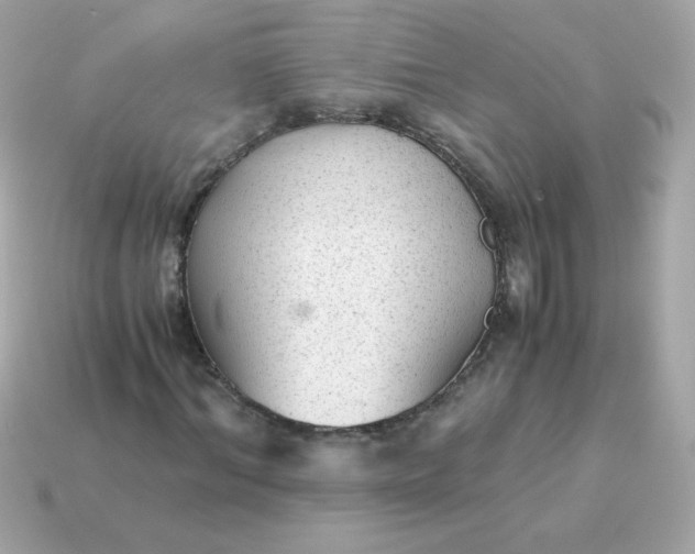X0000115150964200911101726