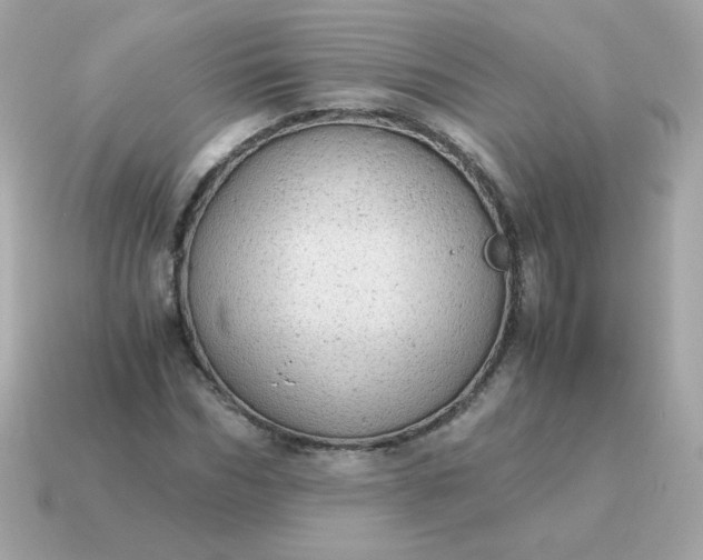X0000115150970200911101726