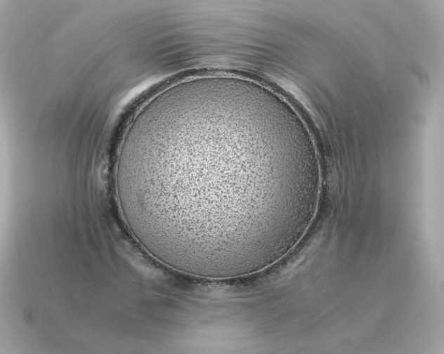 X0000115150971200911101726
