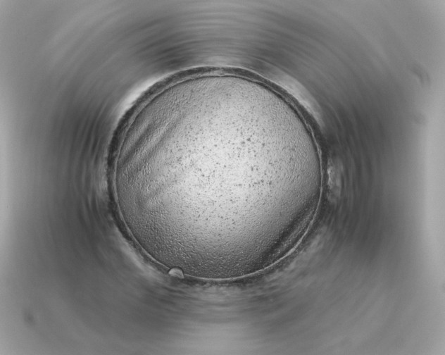 X0000115150972200911101725