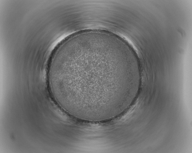 X0000115150975200911101725