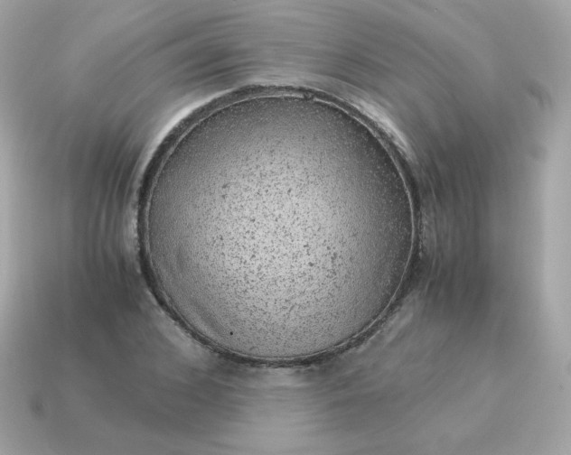 X0000115150976200911101725
