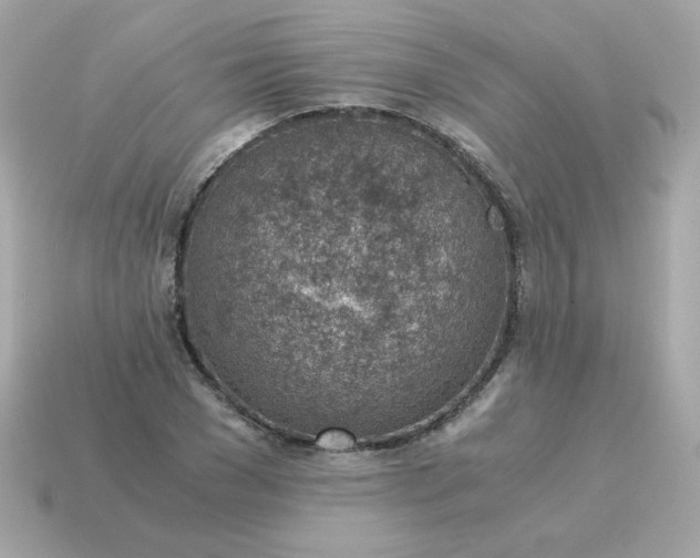 X0000115150977200911101725