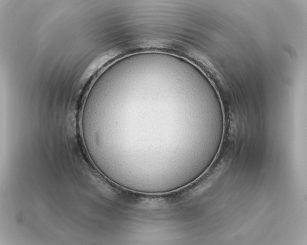 X0000115150978200911101725