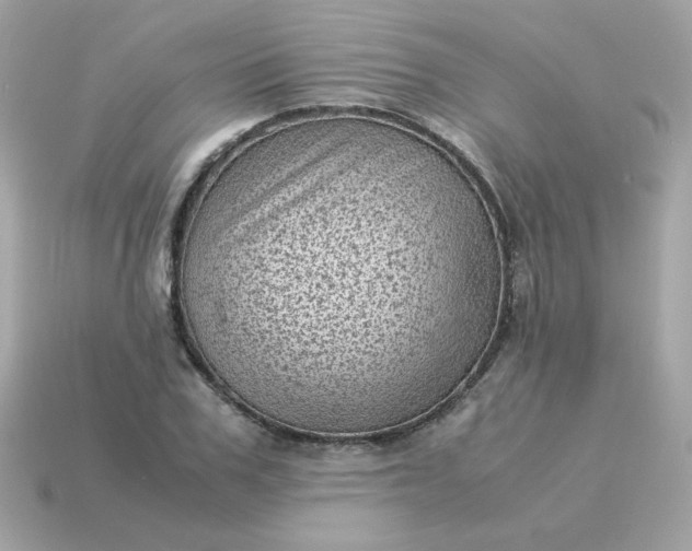 X0000115150979200911101725
