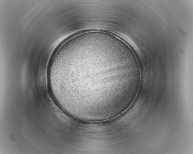 X0000115150980200911101725