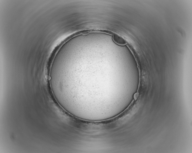 X0000115150981200911101725