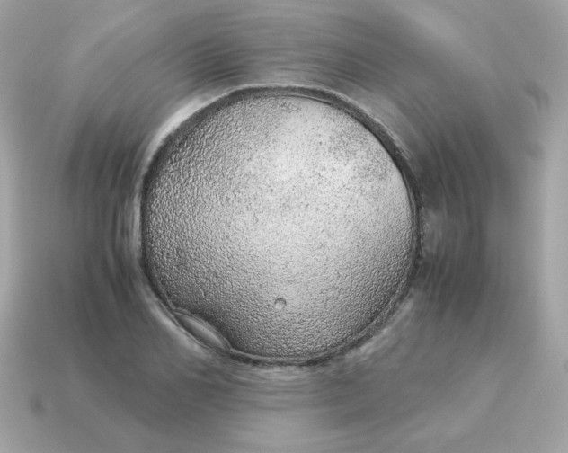 X0000115150982200911101725