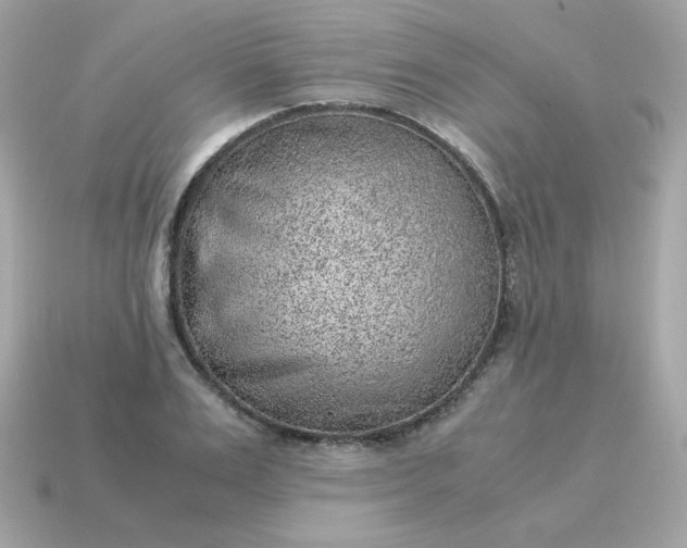 X0000115150983200911101725