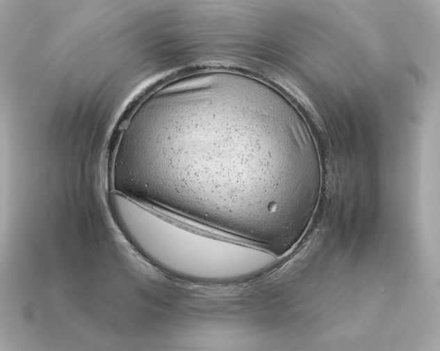 X0000115150984200911101725