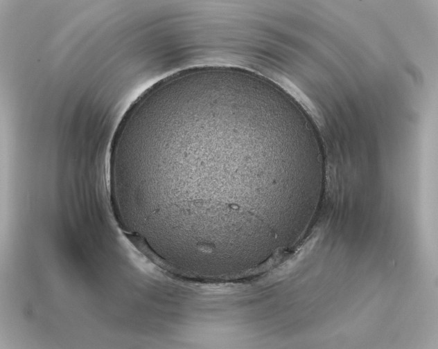 X0000115150988200911101725