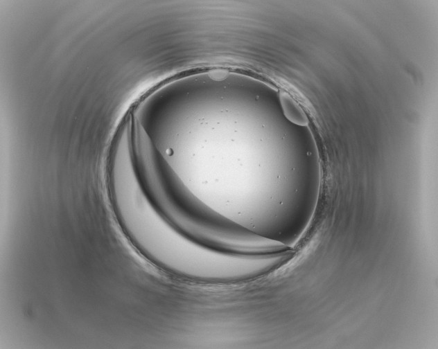 X0000115150989200911101725