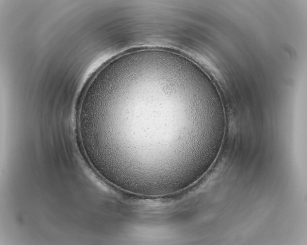 X0000115150990200911101725