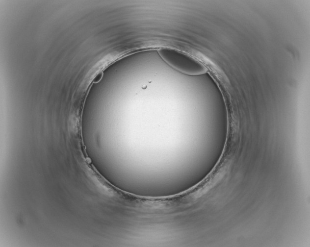 X0000115150993200911101725