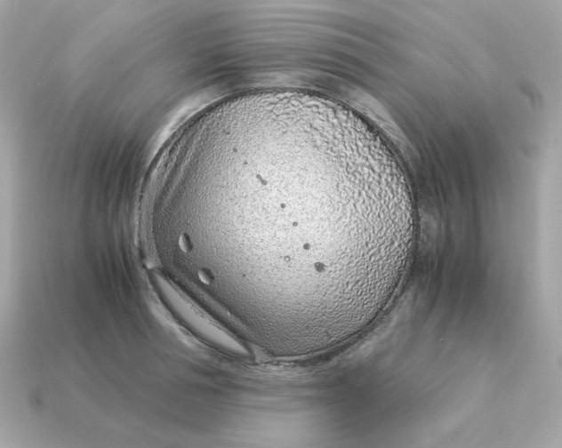 X0000115150994200911101725