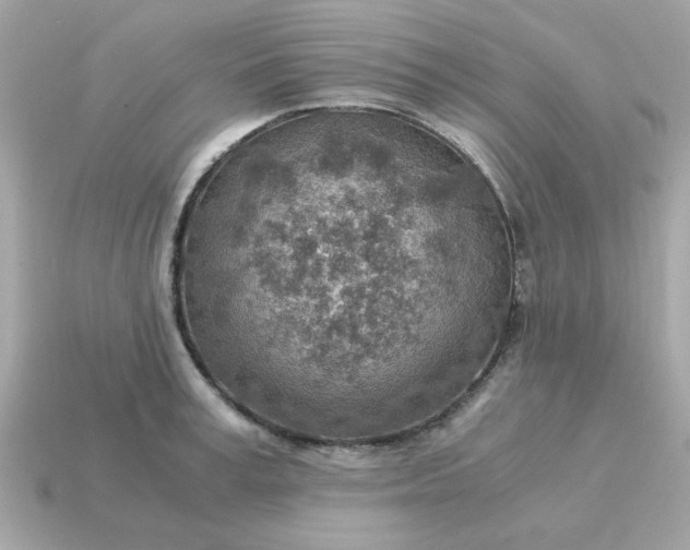 X0000115150995200911101725