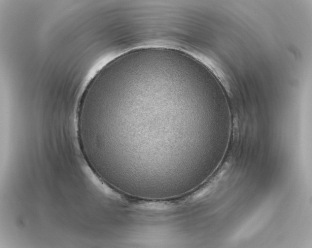 X0000115150998200911101725