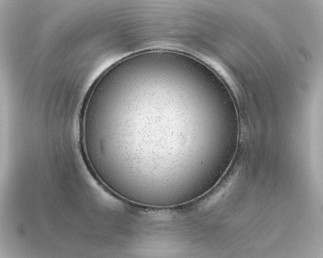 X0000115150999200911101725