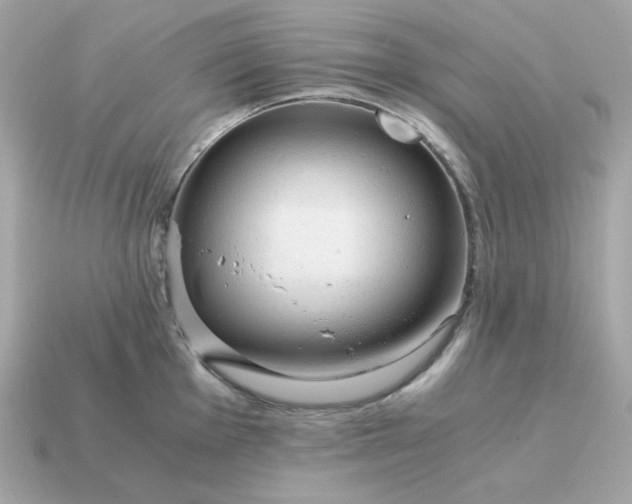 X0000115151001200911101725