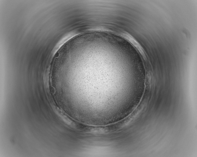 X0000115151002200911101725