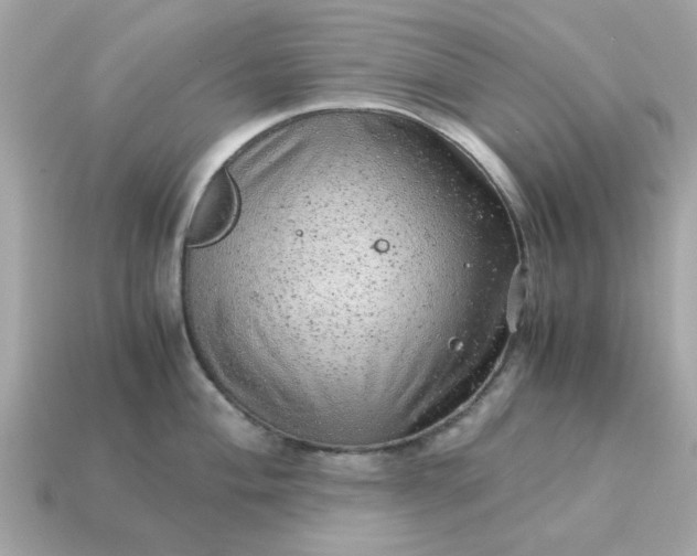 X0000115151004200911101725
