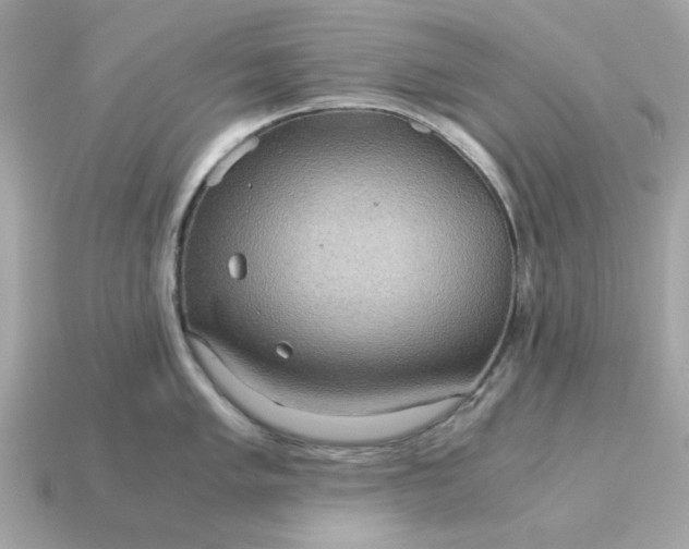 X0000115151005200911101725