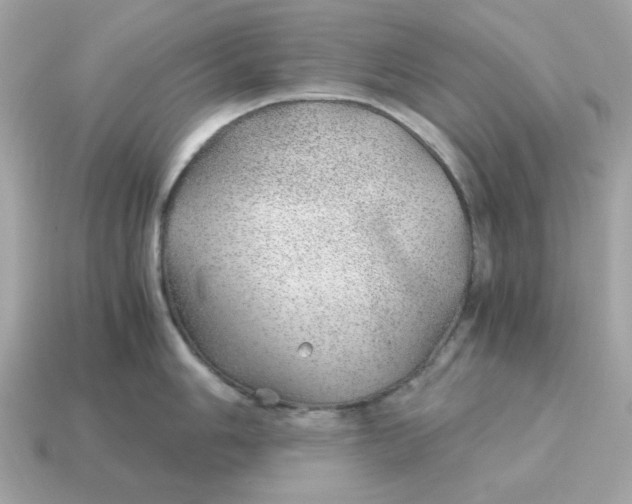 X0000115151006200911101725