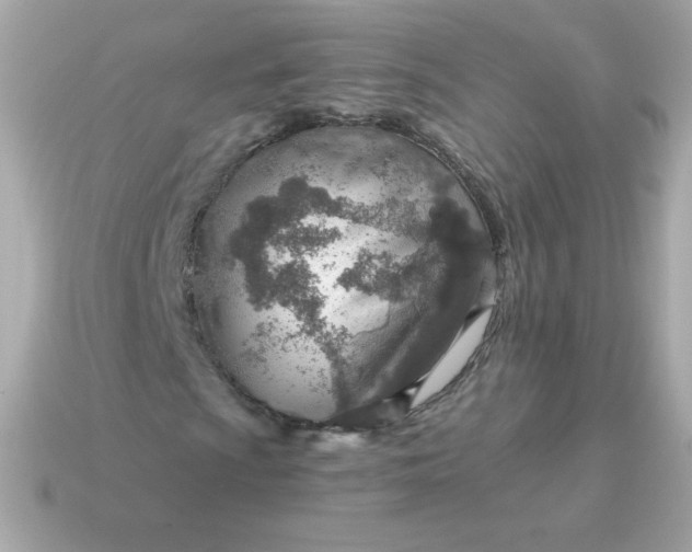 X0000115151009200911101724