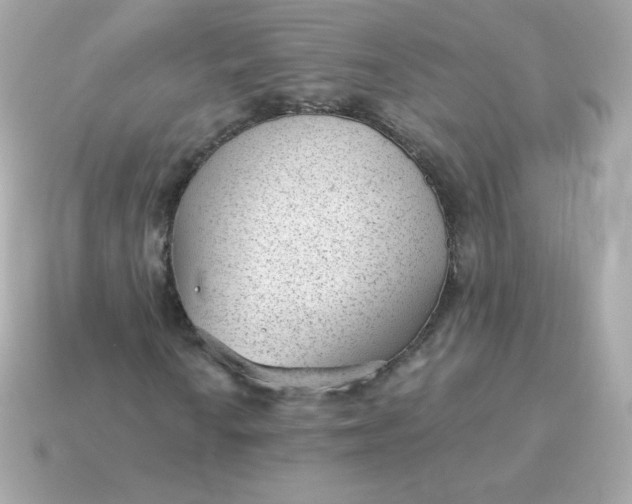 X0000115151010200911101724
