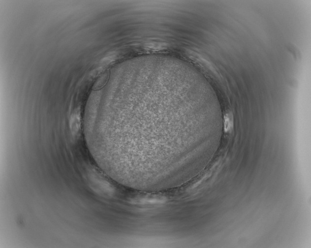 X0000115151011200911101724