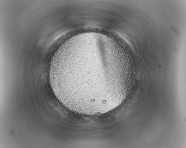X0000115151015200911101724