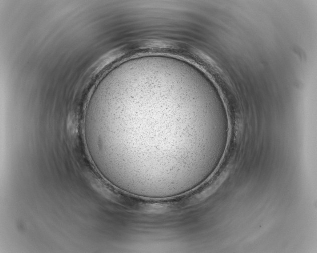 X0000115151017200911101725