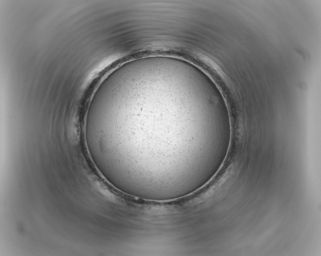 X0000115151018200911101725