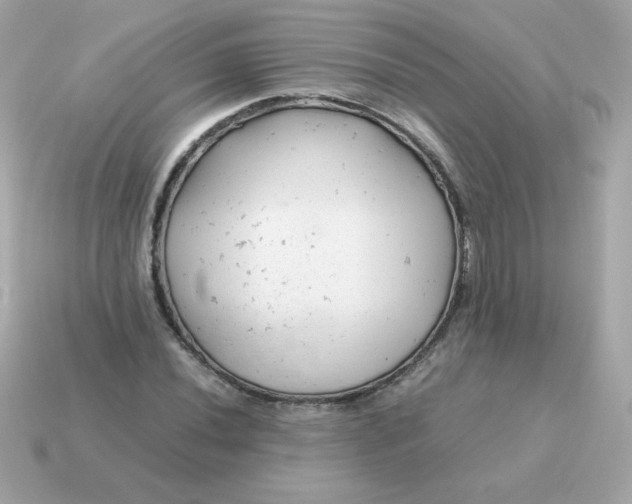 X0000115151020200911101725
