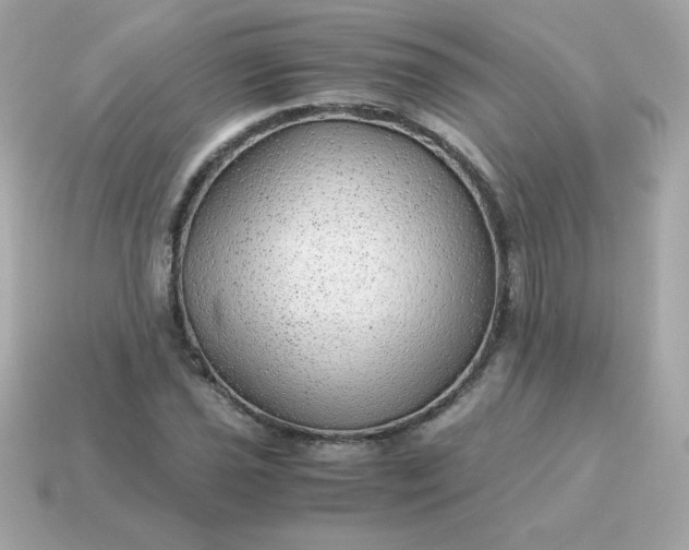X0000115151021200911101725