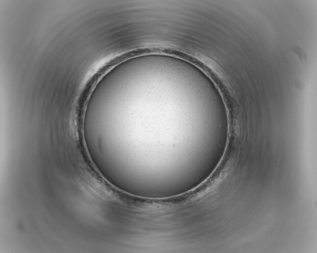 X0000115151022200911101725