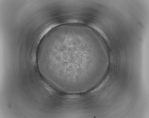 X0000115151023200911101725