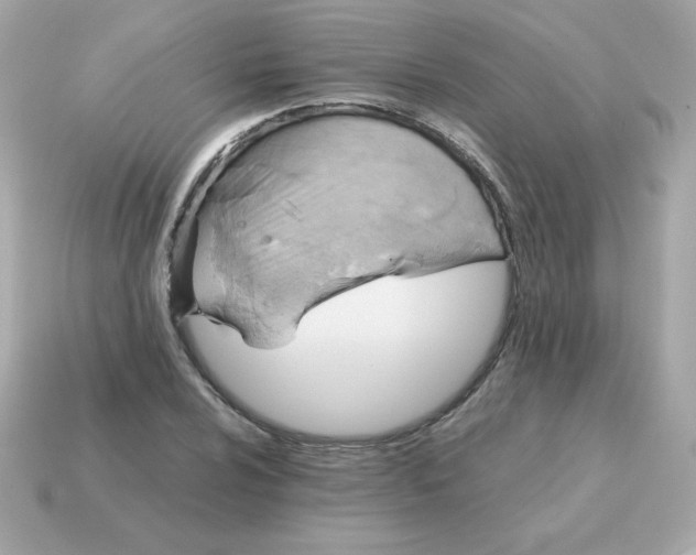 X0000115151024200911101725