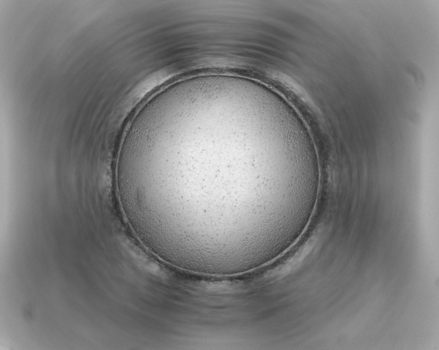 X0000115151025200911101725