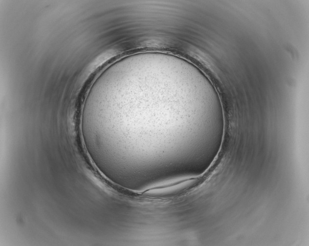 X0000115151026200911101725