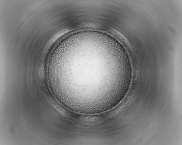 X0000115151027200911101725